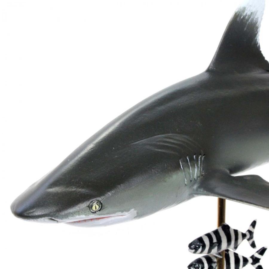 ヨゴレザメ フィギュア Oceanic whitetip shark（フィッシュ