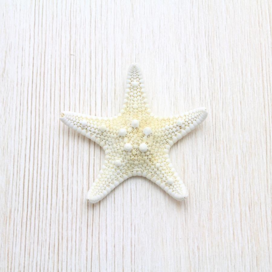 コブヒトデSS（スターフィッシュ）ブライダル ウェルカムボード