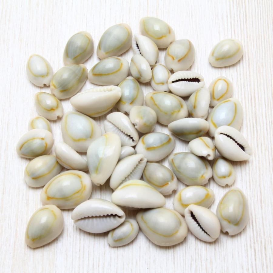 貝殻（ハナビラダカラ タカラガイ）ブライダル ウェルカムボード