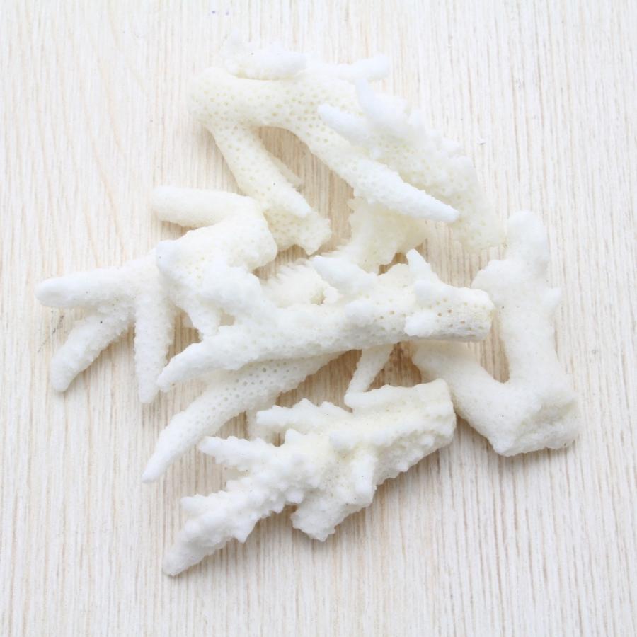 サンゴのかけらs ブライダル ウェルカムボード フォトフレーム シェルパーツ 貝殻 30g Sh 0091 海洋工房 通販 Yahoo ショッピング