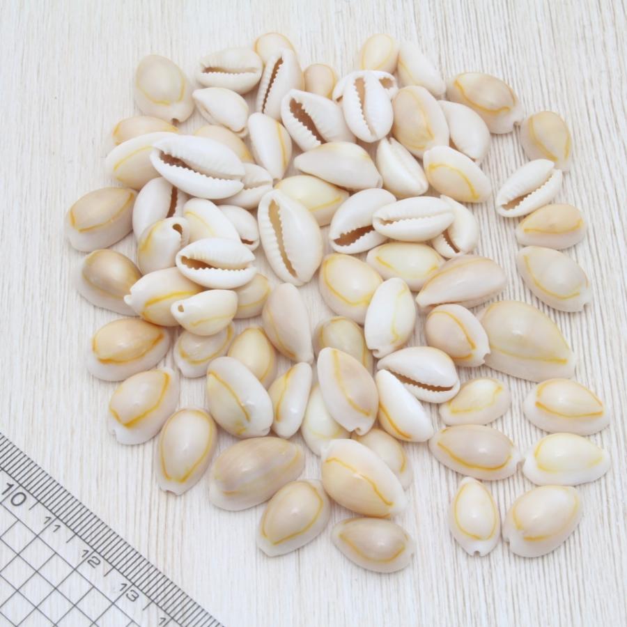 貝殻 ハナビラダカラ（オレンジ／タカラガイ）約50g 素材 パーツ