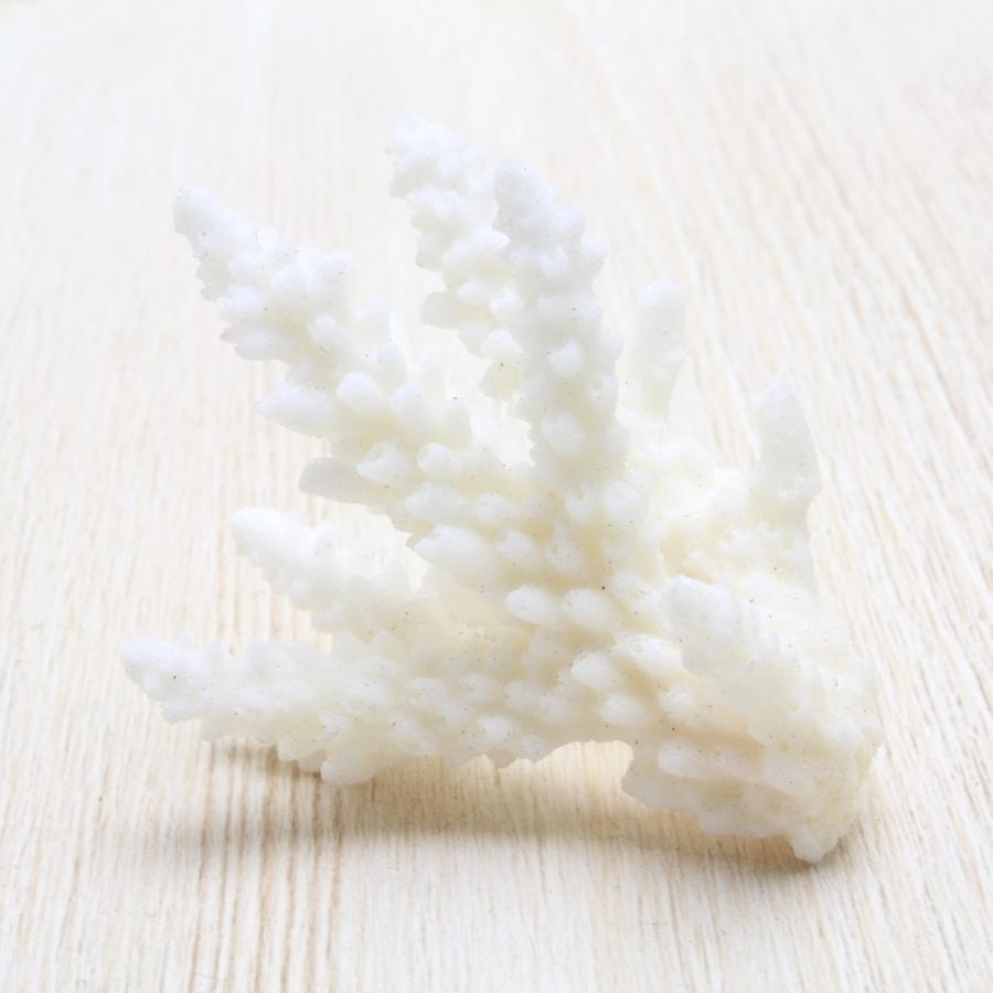 貝殻 サンゴのかけら Mサイズ 約5〜8cm ハンドメイド 工作 セット