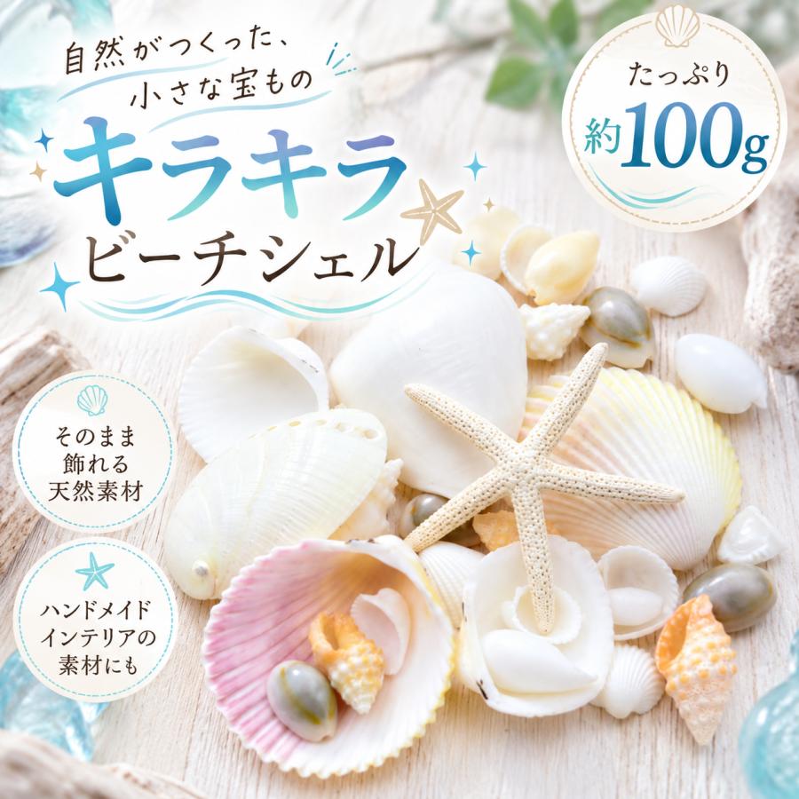 貝殻 キラキラビーチシェル アオヒトデ 詰め合わせ 100g｜天然シェル