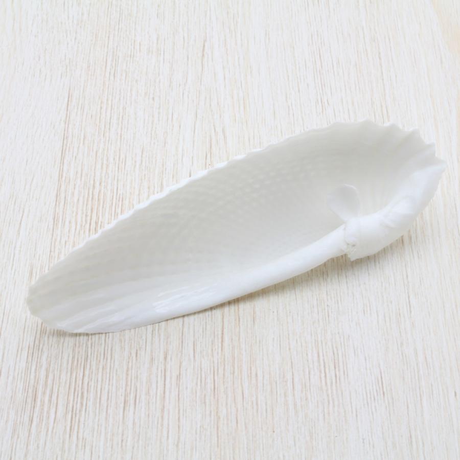 テンシノツバサガイ（天使の翼貝） 貝殻 約10〜12cm 1ペア インテリア