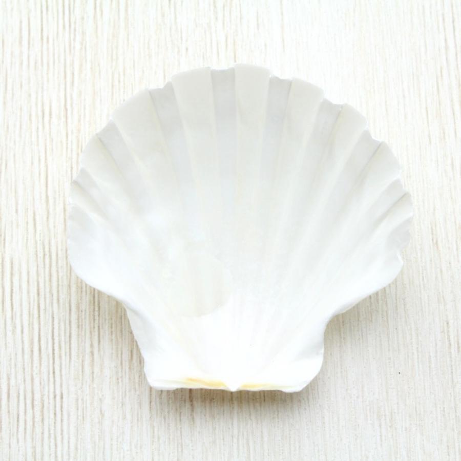 イタヤガイ Sサイズ（5枚セット） 貝殻 約5〜6cm パーツ クラフト素材