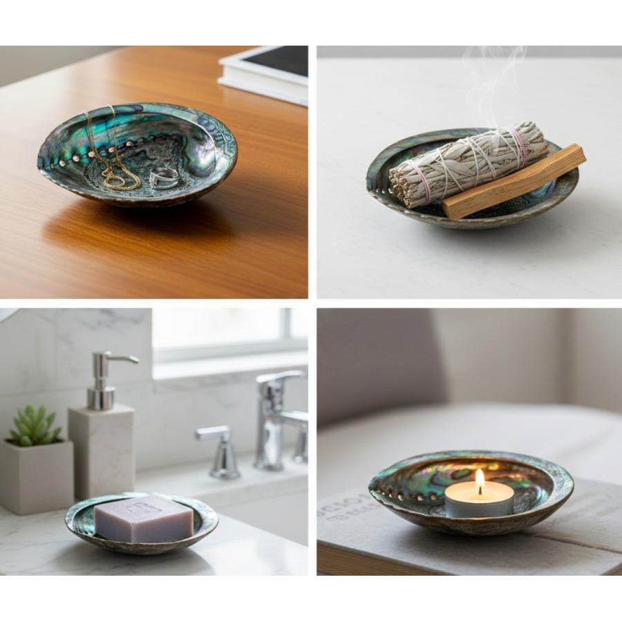 ニュージーランドアワビ（パウア貝・アバロンシェル） 貝殻 約11