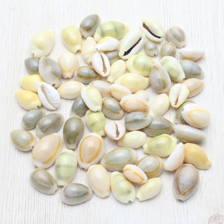 貝殻 タカラガイ（宝貝）ミックス 約50g クラフト素材 ハンドメイド