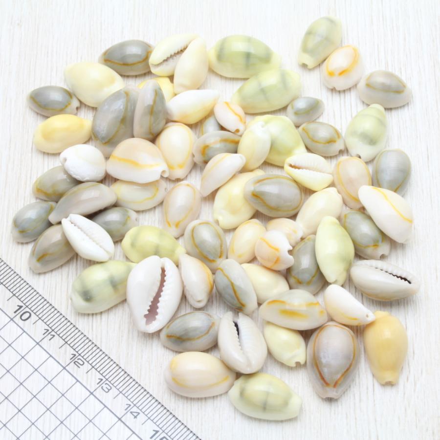 貝殻 タカラガイ（宝貝）ミックス 約50g クラフト素材 ハンドメイド
