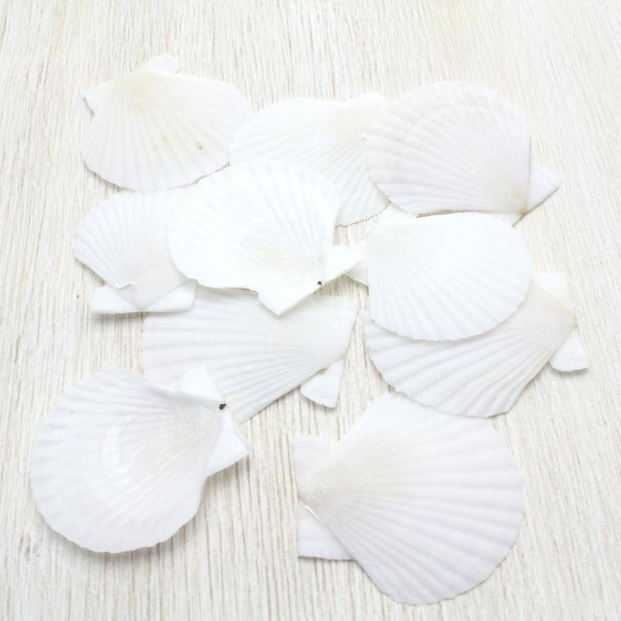 貝殻 ホタテガイ Sサイズ 10枚セット 約2.5〜3cm パーツ 装飾