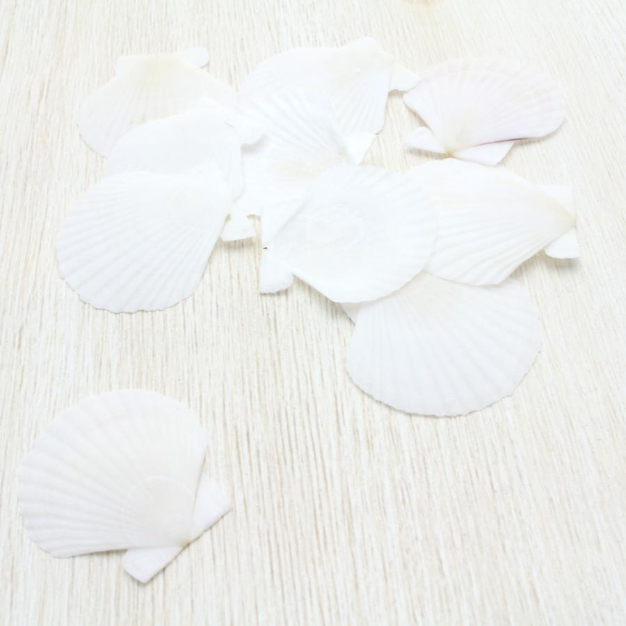 貝殻 ホタテガイ Sサイズ 10枚セット 約2.5〜3cm パーツ 装飾