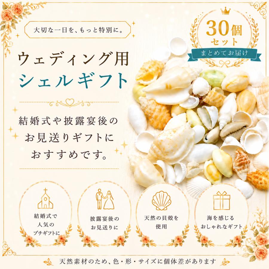 結婚式のプチギフトにおすすめ】ミックスシェル詰め合わせ30個セット