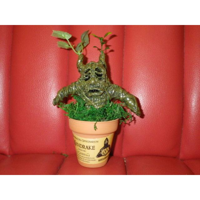 特別オファー カイゾクソウコ マンドレイク 53号 人形 フィギュア モンスター マンドラゴラ ハロウィン ハリーポッター 置物 アート 植物 人面樹 Uma 珍品 奇品 稀物 奇物 ヨッテラッシャイ ミテラッシャイ コレクション 趣味