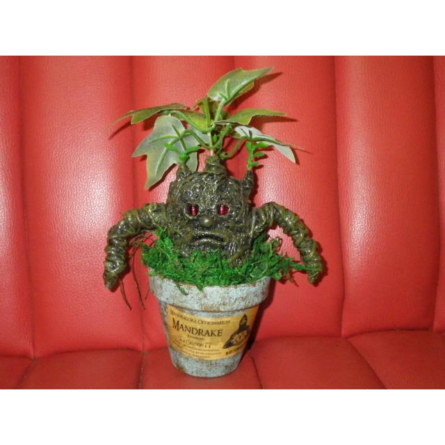 カイゾクソウコ マンドレイク 66号 人形 フィギュア モンスター マンドラゴラ ハロウィン ハリーポッター 置物 アート 植物 人面樹 Uma M カイゾクソウコ ヤフーshop 通販 Yahoo ショッピング