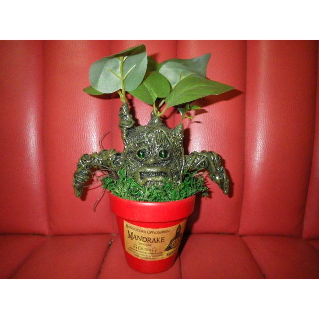 国際ブランド 珍品 奇品 稀物 奇物 ヨッテラッシャイ ミテラッシャイ カイゾクソウコ マンドレイク 65号 人形 フィギュア モンスター マンドラゴラ ハロウィン ハリーポッター 置物 アート 植物 人面樹 Uma Sf ファンタジー ホラー Www