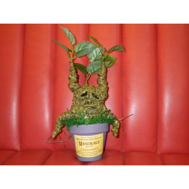 正規品販売 珍品 奇品 稀物 奇物 ヨッテラッシャイ ミテラッシャイ カイゾクソウコ マンドレイク 25号 人形 フィギュア モンスター マンドラゴラ ハロウィン ハリーポッター 置物 アート 植物 人面樹 Uma コレクション 趣味