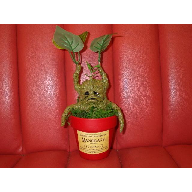 21年春の カイゾクソウコ マンドレイク 8号 人形 フィギュア モンスター マンドラゴラ ハロウィン ハリーポッター 置物 アート 植物 人面樹 Uma 珍品 奇品 稀物 奇物 ヨッテラッシャイ ミテラッシャイ コレクション 趣味 Www Hotellaserena It