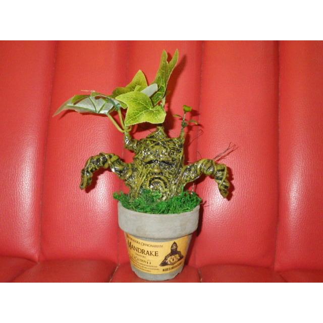 最新作 カイゾクソウコ マンドレイク 29号 人形 フィギュア モンスター マンドラゴラ ハロウィン ハリーポッター 置物 アート 植物 人面樹 Uma 珍品 奇品 稀物 奇物 ヨッテラッシャイ ミテラッシャイ コレクション 趣味