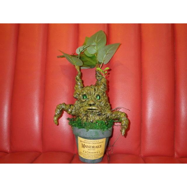 もらって嬉しい出産祝い カイゾクソウコ マンドレイク 26号 人形 フィギュア モンスター マンドラゴラ ハロウィン ハリーポッター 置物 アート 植物 人面樹 Uma 珍品 奇品 稀物 奇物 ヨッテラッシャイ ミテラッシャイ コレクション 趣味 Www