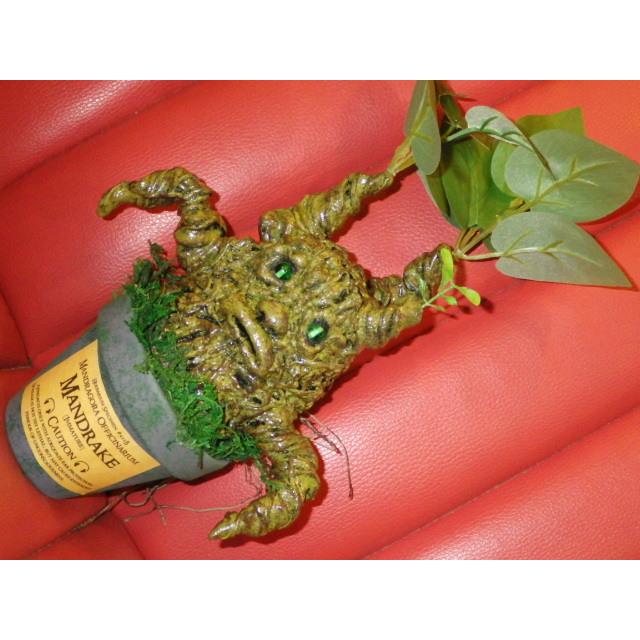 もらって嬉しい出産祝い カイゾクソウコ マンドレイク 26号 人形 フィギュア モンスター マンドラゴラ ハロウィン ハリーポッター 置物 アート 植物 人面樹 Uma 珍品 奇品 稀物 奇物 ヨッテラッシャイ ミテラッシャイ コレクション 趣味 Www