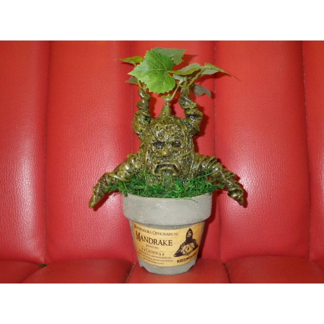 カイゾクソウコ☆マンドレイク☆47号☆人形☆フィギュア☆マンドラゴラ