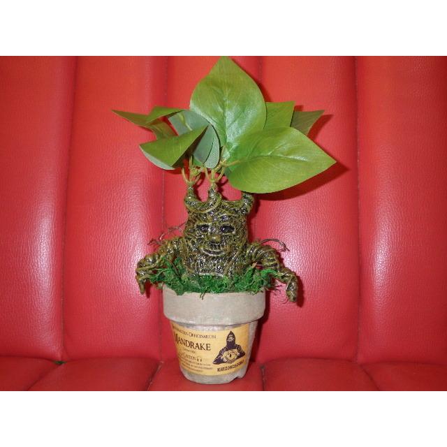 カイゾクソウコ マンドレイク 44号 人形 フィギュア モンスター マンドラゴラ ハロウィン ハリーポッター 置物 アート 植物 人面樹 Uma ヤフーshopのカイゾクソウコ マンドレイク 44号 人形 フィギュア モンスター マンドラゴラ ハロウィン ハリー