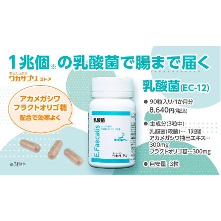 数で勝負、大事です！ 乳酸菌（フェカリス菌）（90粒）3粒に約1兆個 