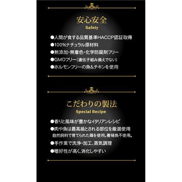 現品発送 〔まとめ〕 ペットフード シシア キャットフード チキンフィレ＆アップル 75g 56セット 猫用品 ペット用品〔代引不可〕 【2069178320】(10825円)