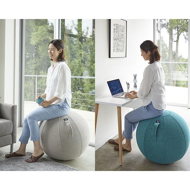 ディズニーコレクション 【新品未使用】Vivora シーディングボール