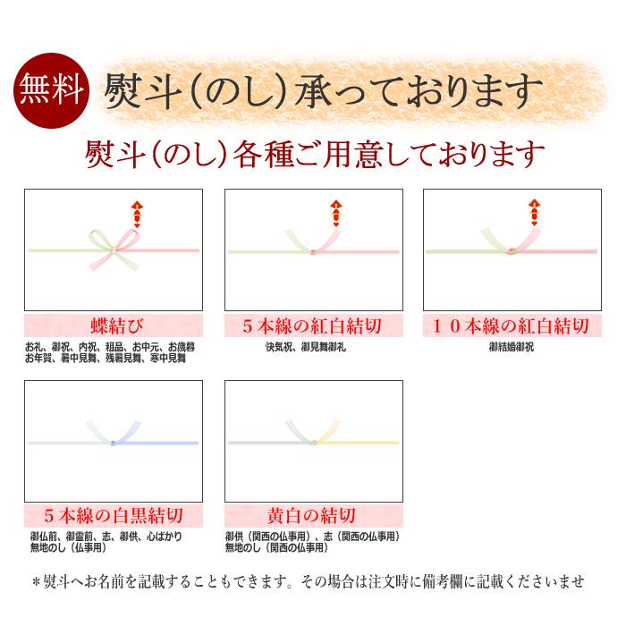 父の日 宮崎県産完熟マンゴー　２個入り　宮崎マンゴーの中で最高等級の赤秀・青秀品！ お中元　出荷予定：４月中旬〜｜kajitsuan-y｜15