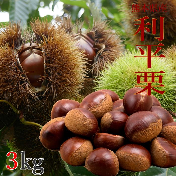 熊本県産 利平栗 3kg 農薬不使用