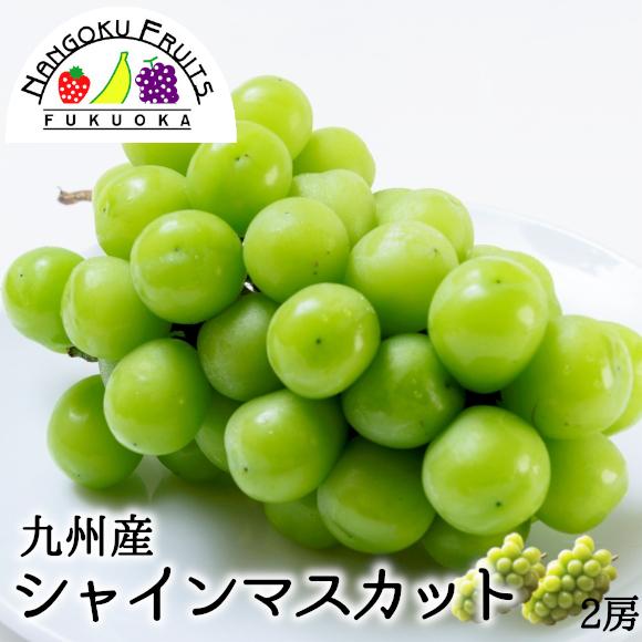 九州産 葡萄・シャインマスカット 2房 ギフト 御中元 御祝 贈り物 ぶどう 葡萄 ブドウ　敬老の日ギフト 予約商品