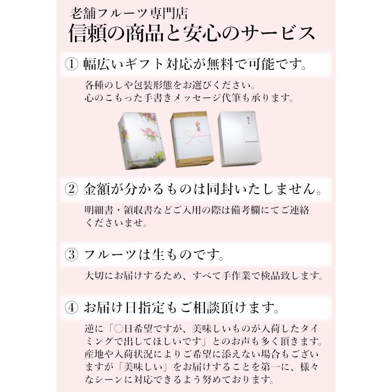 九州産 葡萄・シャインマスカット 2房 ギフト 御中元 御祝 贈り物 ぶどう 葡萄 ブドウ　敬老の日ギフト 予約商品_8