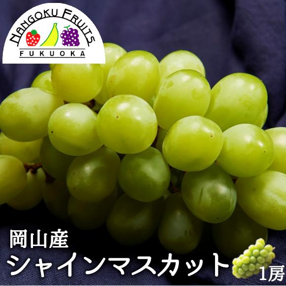 岡山産 シャインマスカット 1房 ギフト 御中元 御歳暮 贈答 御祝 贈り物 ぶどう 葡萄 ブドウ 予約商品