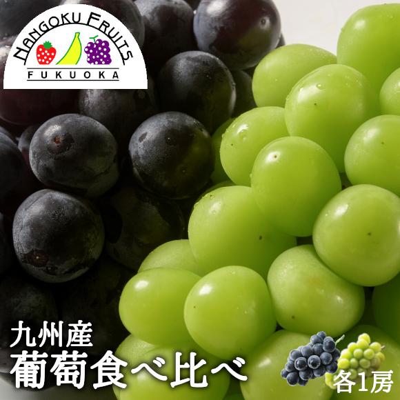 九州産 シャインマスカット＆ピオーネ 各１房 ギフト 御中元 御祝 贈り物 ぶどう 葡萄 ブドウ 予約商品