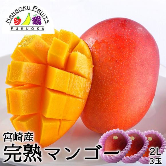 宮崎産完熟マンゴー2L3玉 贈答 ギフト 御祝い 御中元 贈り物 母の日 父の日