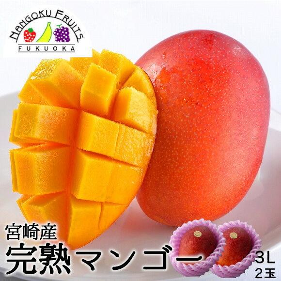 宮崎産完熟マンゴー3L2玉 贈答 ギフト 御祝い 御中元 贈り物 母の日