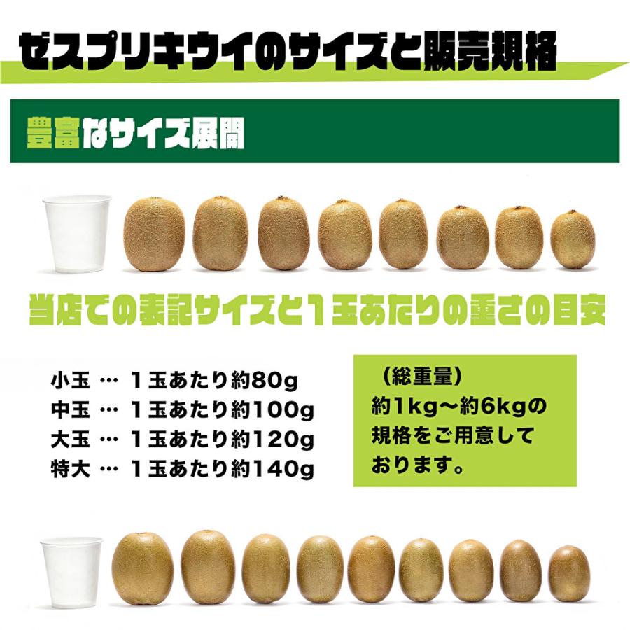 ニュージーランド産 ゼスプリ サンゴールドキウイ L 約3kg 25〜27玉