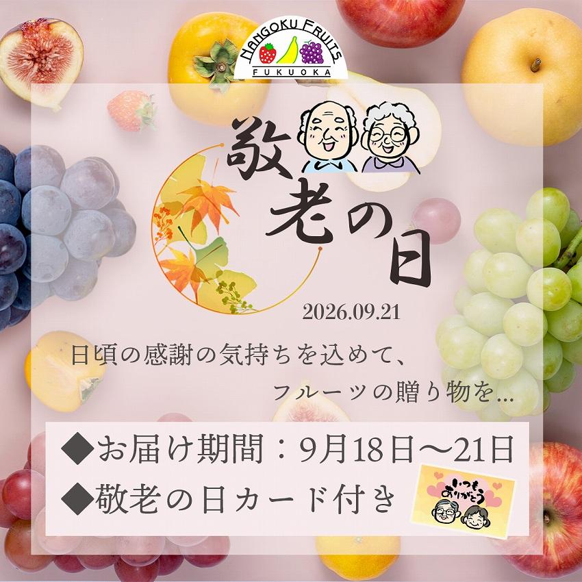フルーツボックス ギフト フルーツ 詰め合わせ フルーツセット 御中元