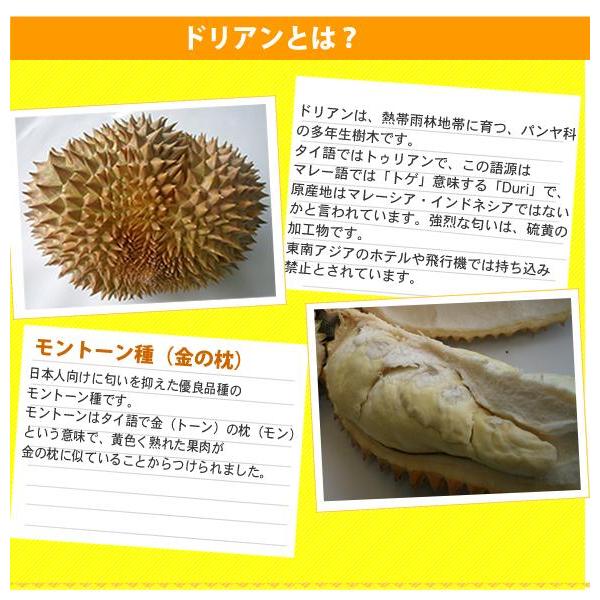 店舗 フィリピン産ドリアン4玉29 700円 Aynaelda Com