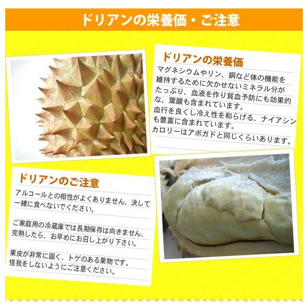 店舗 フィリピン産ドリアン4玉29 700円 Aynaelda Com