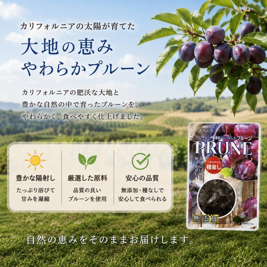 無添加 カリフォルニア農園産やわらかプルーン185g×20袋 無糖 自然の