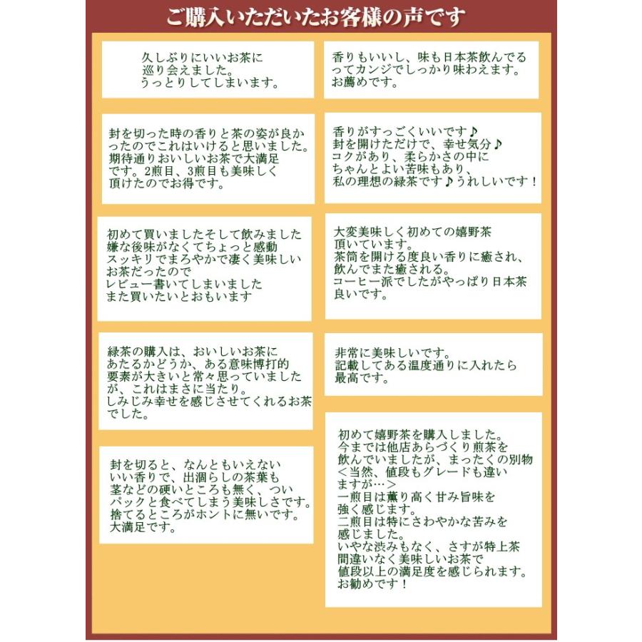 2025新茶】【特上嬉野茶(100g×5本)】茶葉 お茶 日本茶 緑茶 煎茶