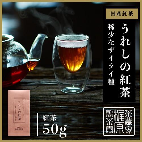嬉野茶 うれしの紅茶（50ｇ） 日本茶 緑茶 煎茶 送料無料 茶葉 ポイント消化 お試し | 