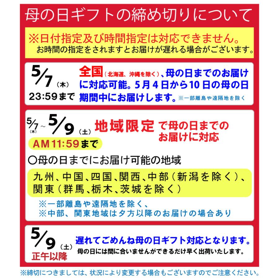 P5倍 遅れてゴメンね 母の日 ギフト 2026 花 カーネーション プレゼント いちごホイップ 鉢植え 5号 選べる特典付き 吉本花城園 送料無料 | 吉本花城園 | 13