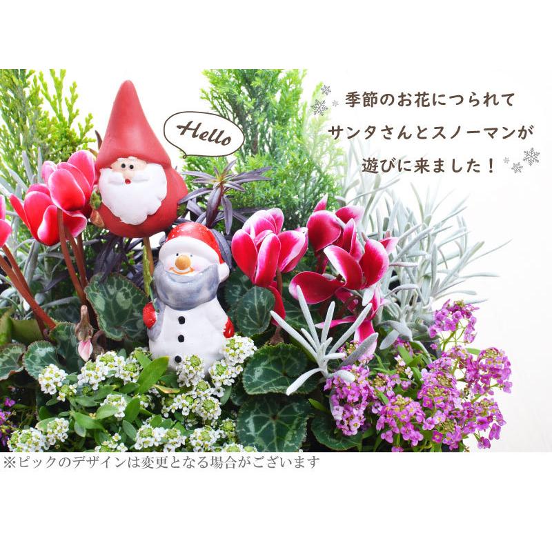 予約品 12月上旬より順次発送 クリスマス 寄せ植え 玄関 店舗前の花飾りに プレゼントやギフトにもおすすめ 鉢花 花苗 コニファー サンタクロース スノーマン | 吉本花城園 | 04