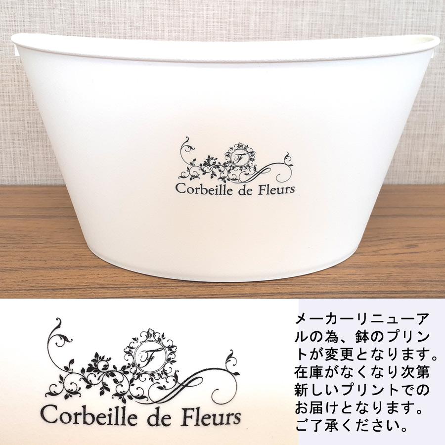 吉本花城園 2月下旬からお届け 寄せ植え バスケット ラナンキュラス