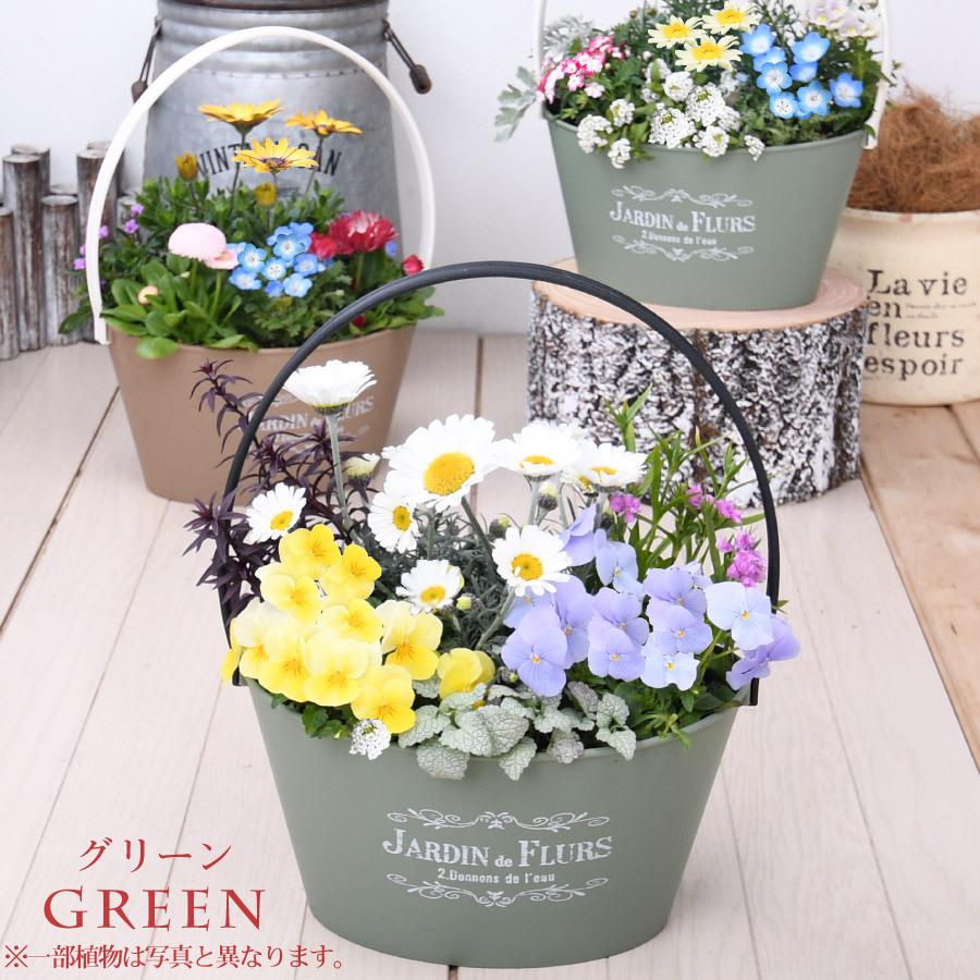春のおまかせ寄せ植え バスケット 寄せ植え 玄関 店舗前の花飾りに プレゼントやギフトにもおすすめ 鉢花 花苗 | 吉本花城園 | 01