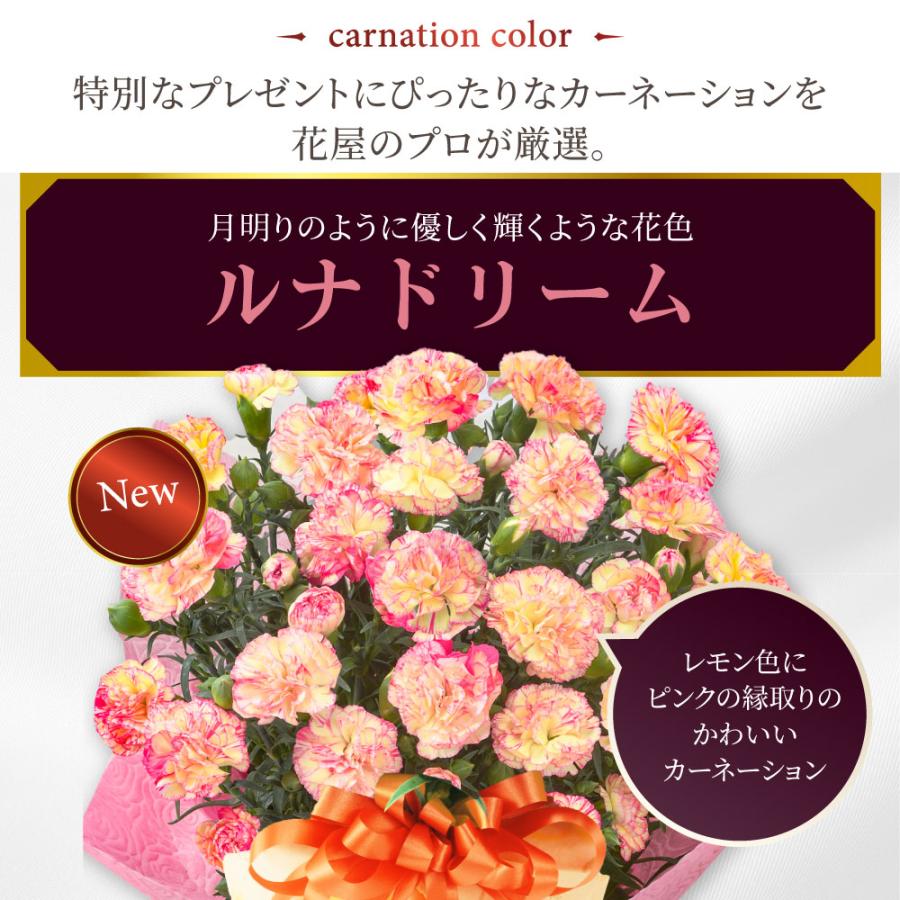 吉本花城園 爆買 母の日 プレゼント 2026 花 カーネーション ルナ