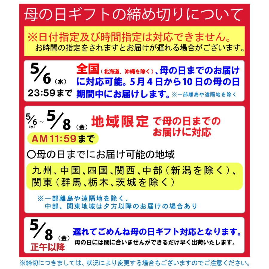 まだ間に合う地域限定9日AMまで 母の日 プレゼント 2026 花 カーネーション 赤 鉢植え 5号 定番 ギフト 選べる特典付き 吉本花城園 送料無料 | 吉本花城園 | 13
