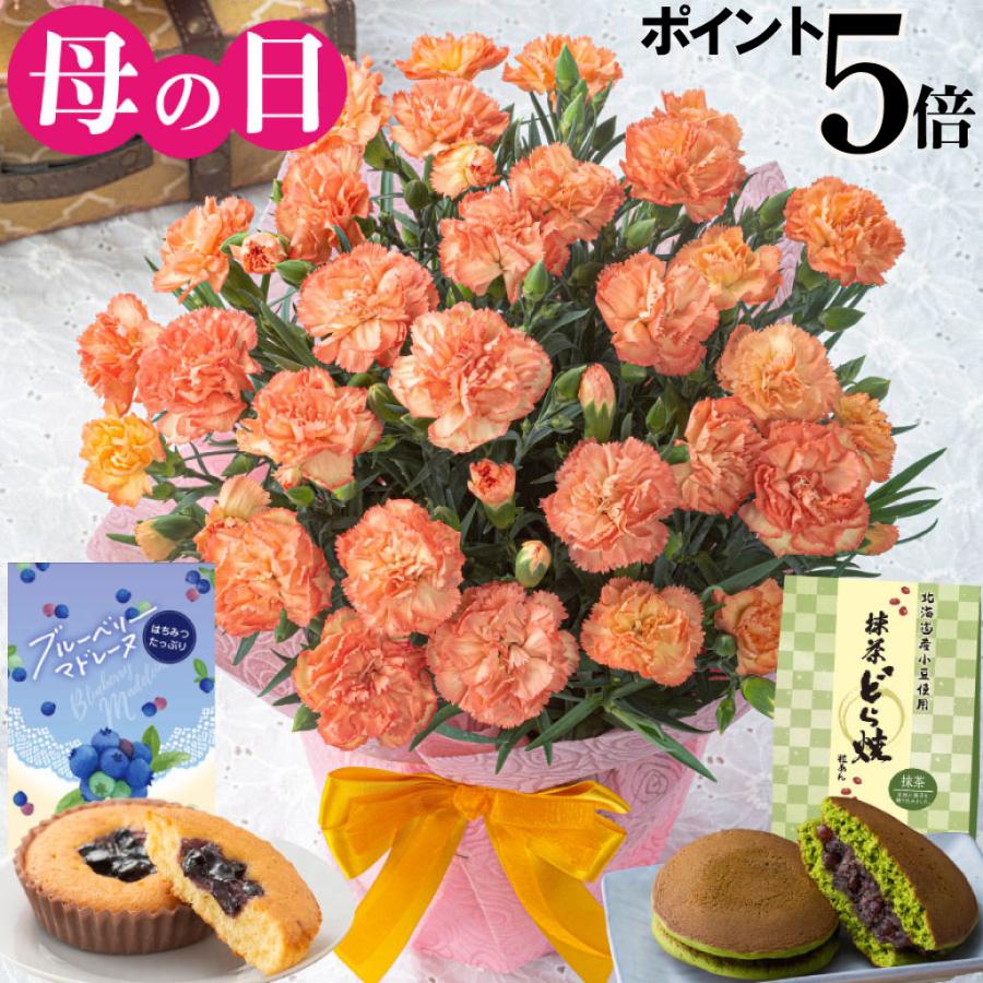 吉本花城園 母の日 プレゼント 2026 花 カーネーション オレンジドレス